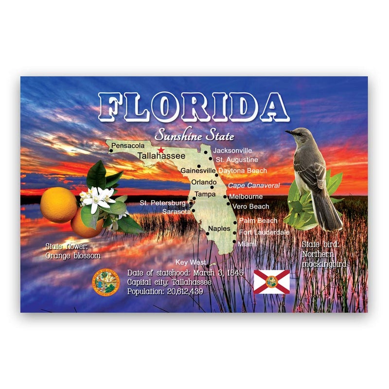 Postcard Fair Florida MAP Postcard Set of 20 Identical Postcards. FL State map Post Cards. Made in USA. - Image 1